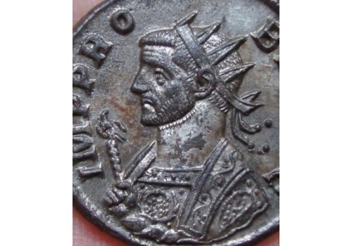 Probus - SILVERED QUADRIGGA EF!!!!