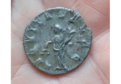 VOLUSIANUS - AEQVITAS (457) SCHAARS!