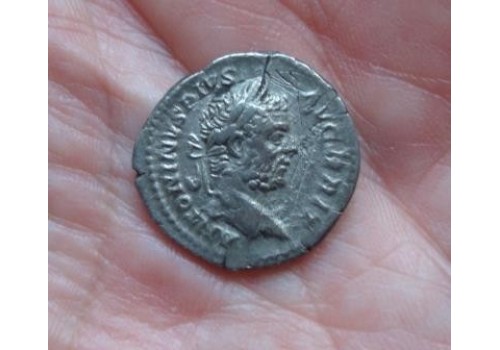 Caracalla-  Denarius CONCORDIA!