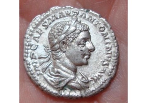 Elagabalus- SALUS SCHITTEREND!