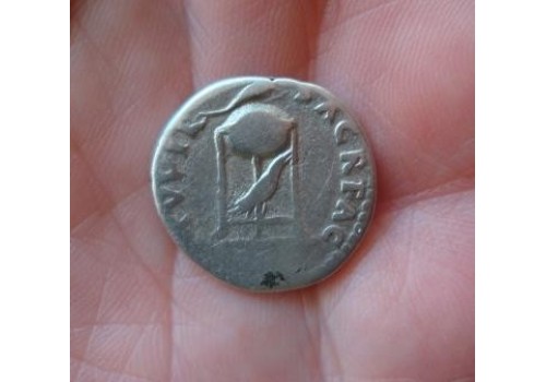 Vitellius - denarius driepoot met dolfijn en raaf zeldzaam!