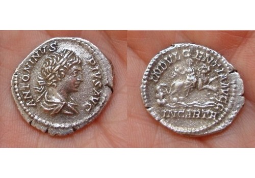 Caracalla - Dea Caelestis interessante keerzijde! (1060)