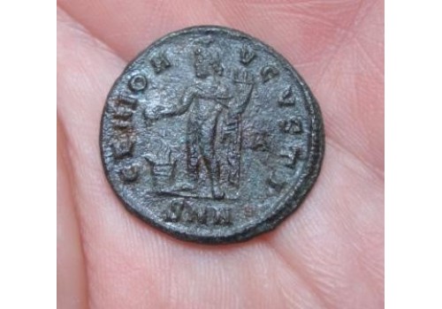 Maximinus II - Genio Avgvsti