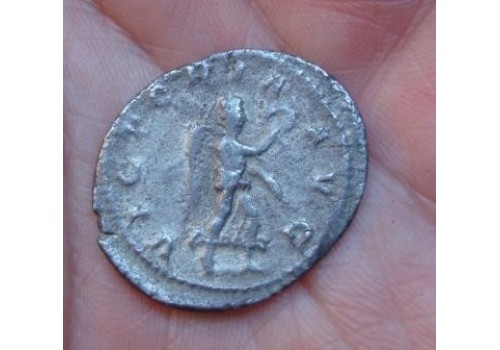 Philippus I - Victoria SCHAARS!