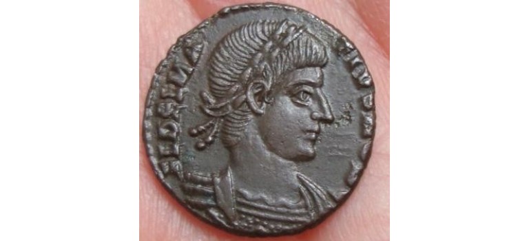 Delmatius - Zeer zeldzaam + PRACHTIG! Delmatius - Zeer zeldzaam + PRACHTIG!