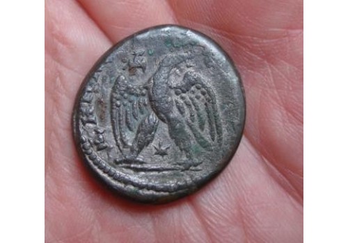 Elagabalus- Tetradrachme adelaar!
