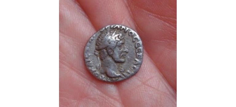 Hadrian  - hemidrachm Club RARE!!!!!!