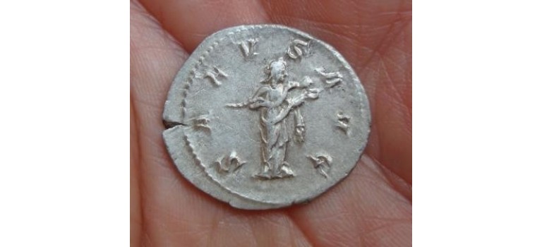 Philip I - SALVS Beauty!!!!