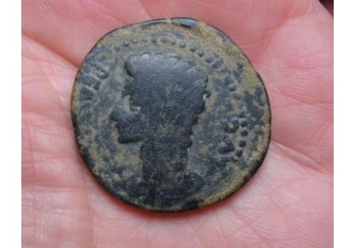 Augustus met Gaius en Lucius ZEER ZELDZAAM!