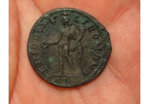 Diocletianus - Schaarse Grootfollis Genius!