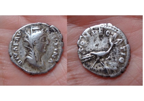 Faustina I - Consecratio peacock RARE  (N1565)