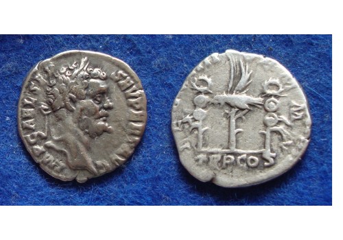 Septimius Severus - Legioendenarius LEG XIIII schaars (MA1826)