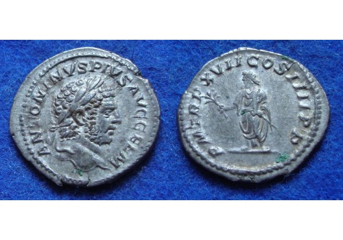 Caracalla - Caracalla met tak! (F1821)