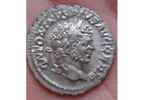 Caracalla-  Denarius APOLLO PRACHTIG en SCHAARS! (619)