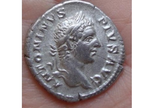 Caracalla -  LIBERALITAS zeer fraai portret! (563)