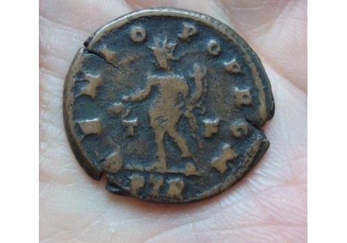 MAXIMINUS II - GENIO POP ROM (587) 