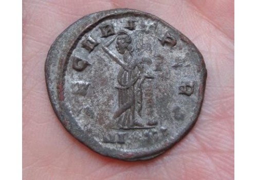 Probus- SECVRITAS! (606) Probus- SECVRITAS! (606)