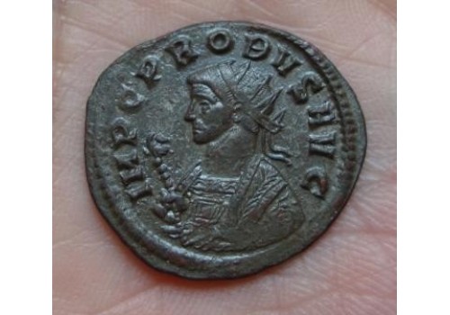 Probus- SECVRITAS! (606)
