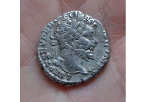 Septimius Severus - MARTI PACIFERO! (582)