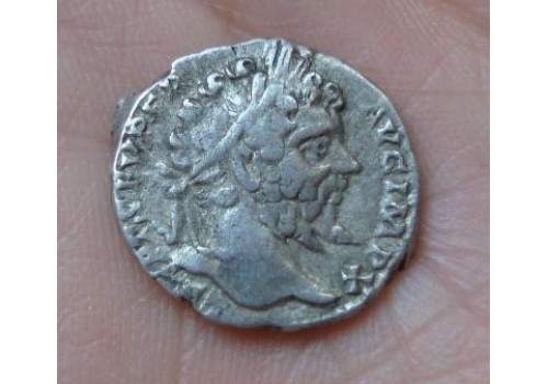 Septimius Severus - PACI AETERNAE (584)