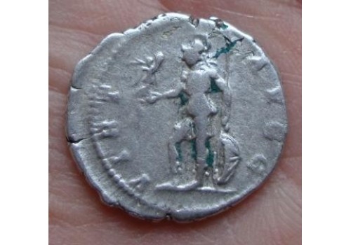 Septimius Severus - VIRTUS mooie munt! (566) Septimius Severus - VIRTUS mooie munt! (566)