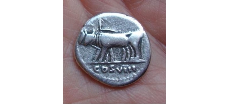 Vespasianus - OSSEN! (542)