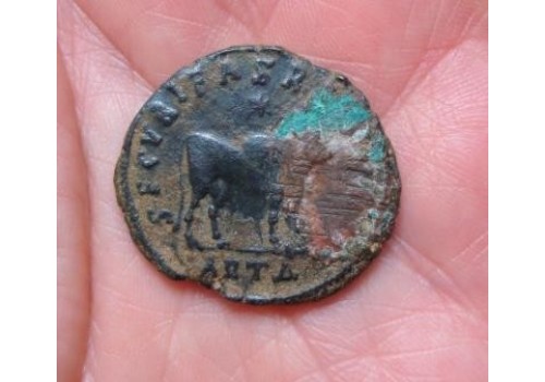 Julianus II - STIER!