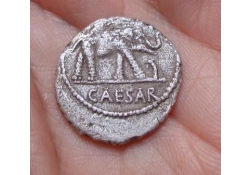 Julius Caesar denarius OLIFANT gezocht! (680)
