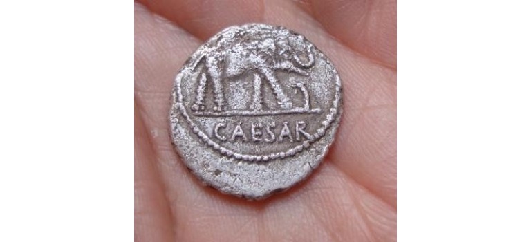 Julius Caesar denarius OLIFANT gezocht! (680)