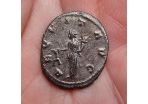Gallienus -Aeqvit beauty! Gallienus -Aeqvit beauty!