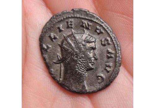 Gallienus -Aeqvit beauty!