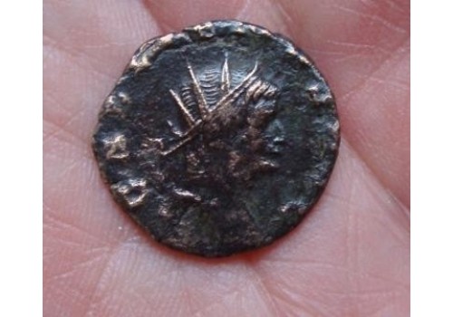 Gallienus-  Antilope 'Zoo-serie' (752)