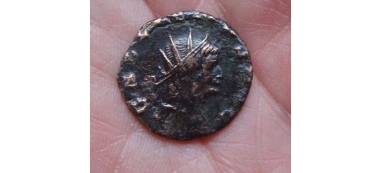 Gallienus - Zoo series Antilope