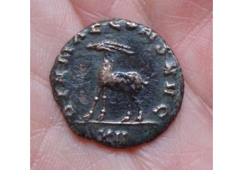 Gallienus-  Antilope 'Zoo-serie' (752)