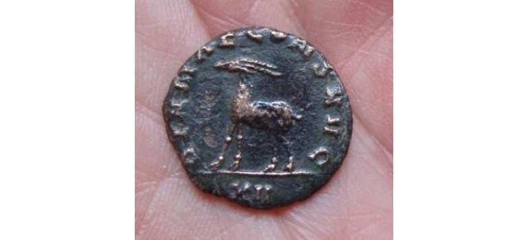 Gallienus - Zoo series Antilope