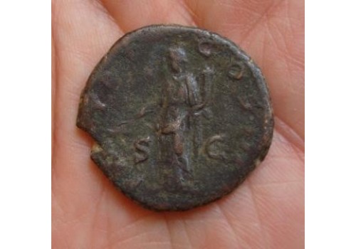Hadrianus AS -Pax mooie kop! (738)