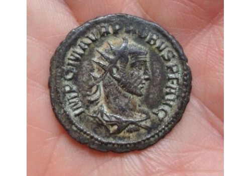 Probus-  Clementia Temp! (692)