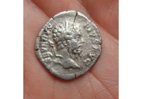 Septimius Severus - Salus (687)