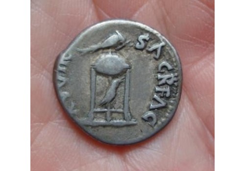 Vitellius - denarius driepoot met dolfijn en raaf zeldzaam! (701)