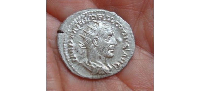 Philip I - SALVS Beauty!!!!