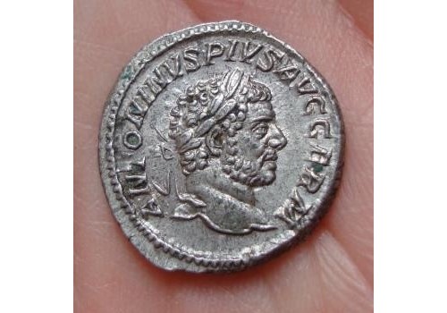 Caracalla -  PAX beauty! (676)