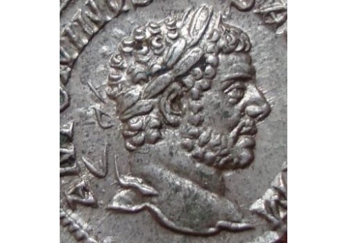 Caracalla -  PAX beauty! (676)