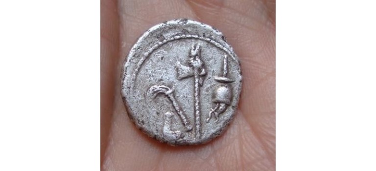 Julius Caesar denarius OLIFANT gezocht! (680)