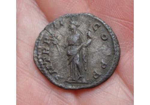 Severus Alexander PAX