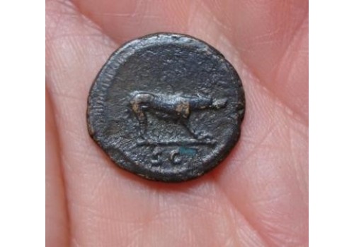 Trajanus- quadrans wolvin
