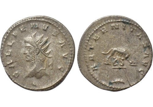 Gallienus -  Remus en Romulus en wolvin, niet in RIC! (A1610)