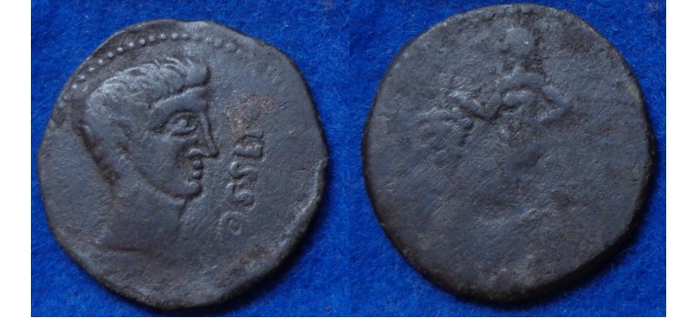 Augustus - OSSET (N1626)
