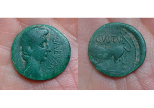 Augustus - QUADRANS stier zeldzaam  (AU1622)