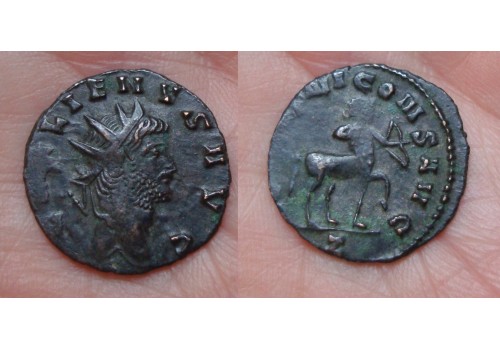 Gallienus -  CENTAUR  'Zoo-serie' (AU1619)